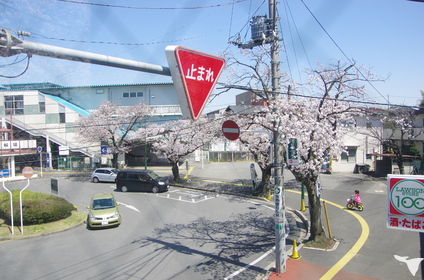 医療法人社団　ほのぼの歯科・矯正歯科の歯科衛生士求人の画像（2枚目）