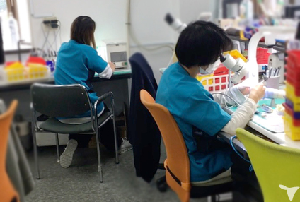 株式会社ＴＤＳ中山支店の歯科技工士求人の画像（4枚目）