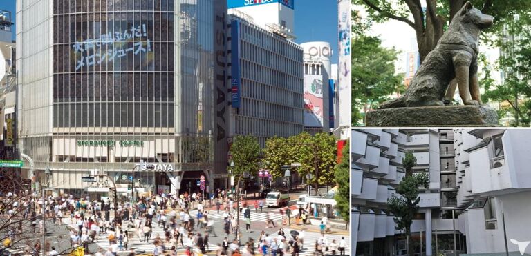 東京・渋谷校