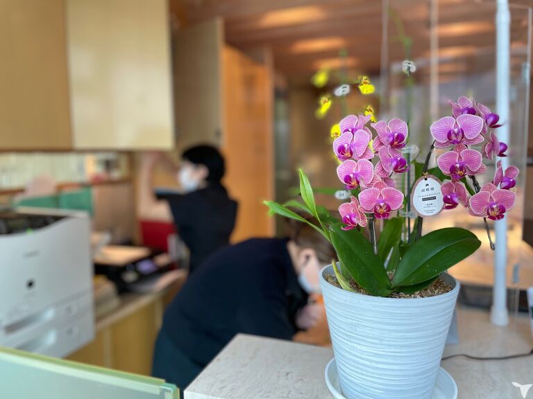 医療法人社団明匠会　大楽歯科医院の歯科医師求人の画像（5枚目）