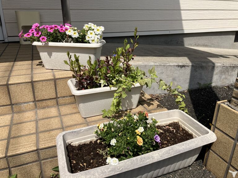 のりこキッズマム歯科医院