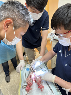 医療法人社団OHP　あんざい歯科医院の歯科医師求人の画像（6枚目）