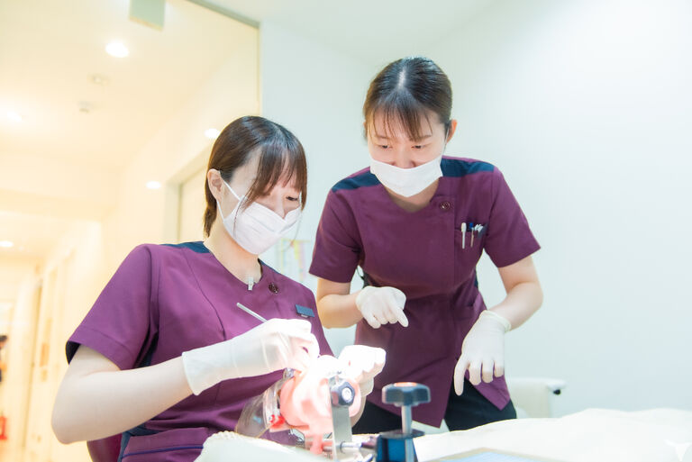 先輩DH５名在籍