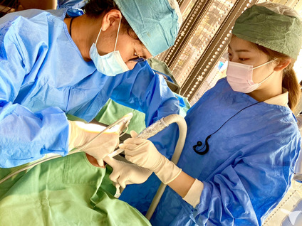 医療法人社団 Bless Dental Clinicの歯科医師求人の画像（4枚目）