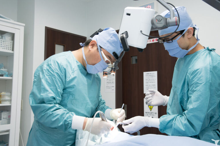 HAL DENTAL CLINICの歯科衛生士求人の画像（2枚目）