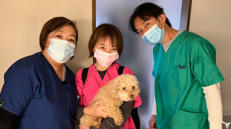 「心にタッチする医療」