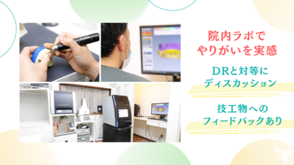 仕事内容
