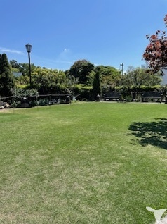 夏がやってきた！