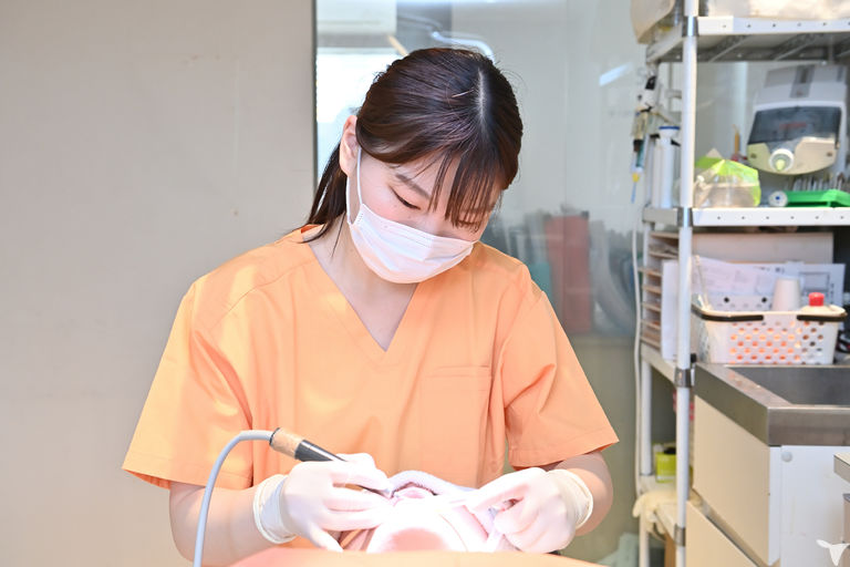 2024年４月新卒入社