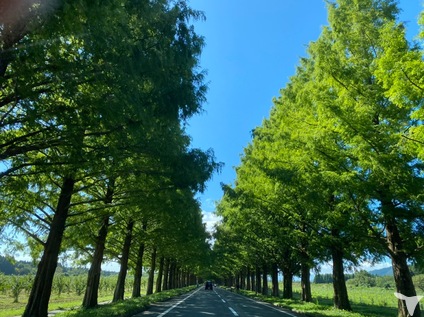中島歯科の歯科助手求人の画像（6枚目）