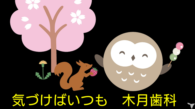 我らがフーちゃんです。