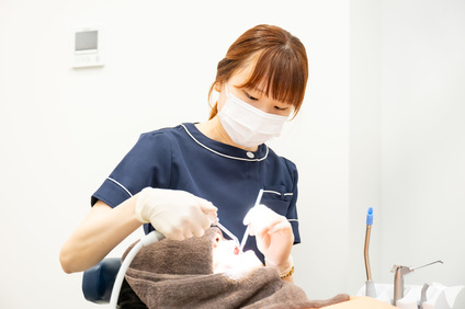 アーバン歯科・矯正歯科　大宮ラクーン院の歯科医師求人の画像（3枚目）