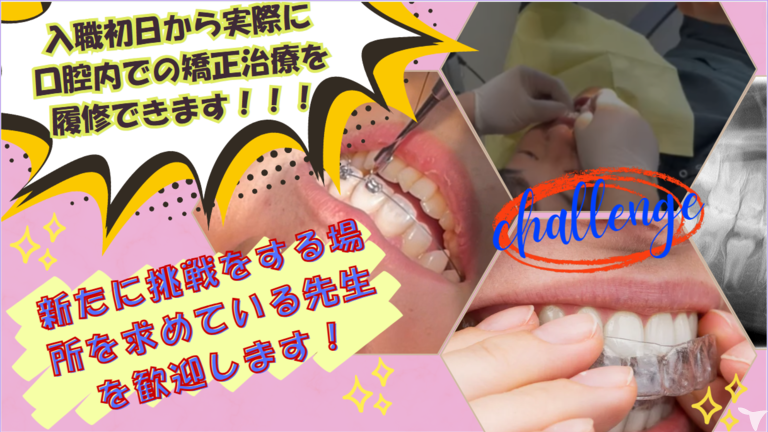 無駄を省いたカリキュラム