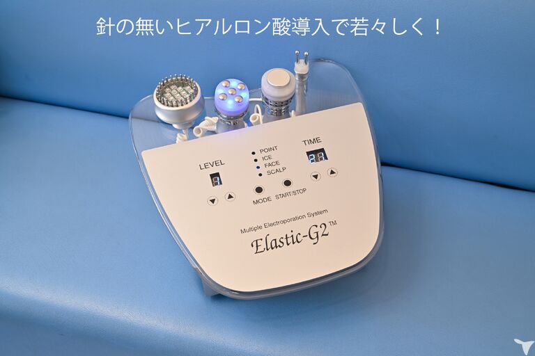 エラスティック-G2