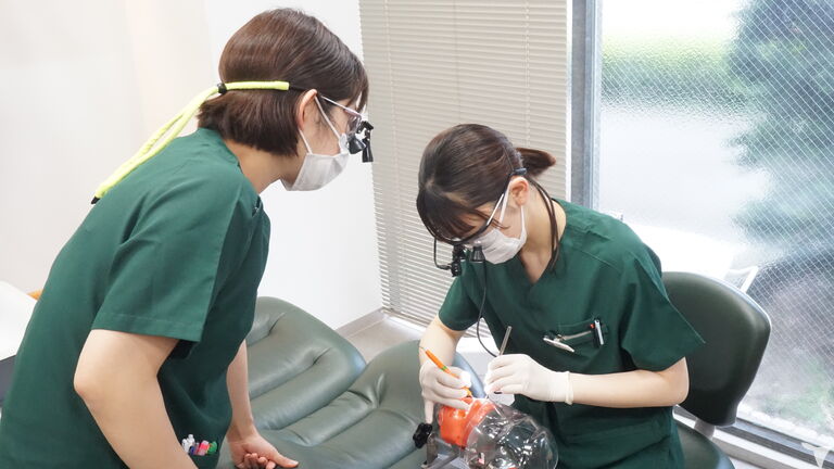 新人研修