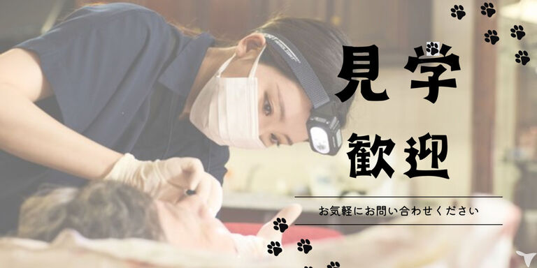 見学はいつでも歓迎です
