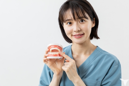 くまがい歯科クリニックの歯科衛生士求人の画像（2枚目）
