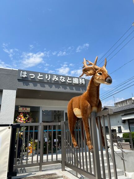 はっとりみなと歯科の歯科衛生士求人の画像（3枚目）