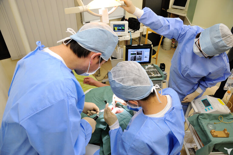 インプラントオペ