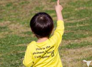 中葛西幼保園の保育士求人の画像（2枚目）
