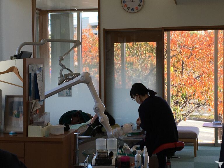 春は桜、秋は紅葉とともに