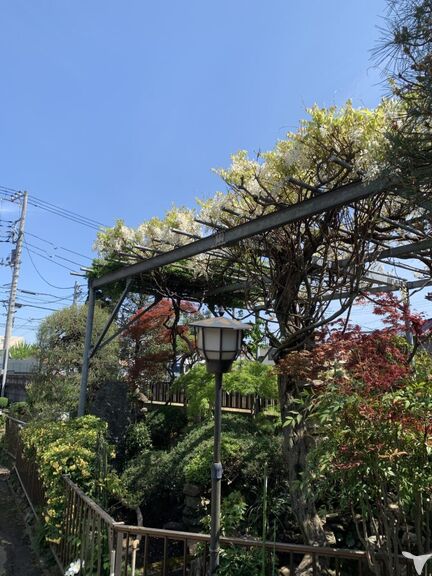 新井歯科医院の歯科助手求人の画像（6枚目）