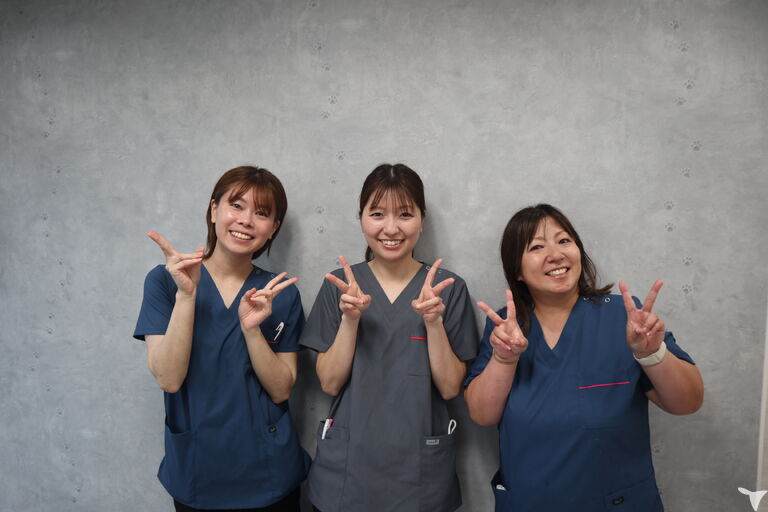 立石たけしま歯科の歯科助手求人の画像（4枚目）