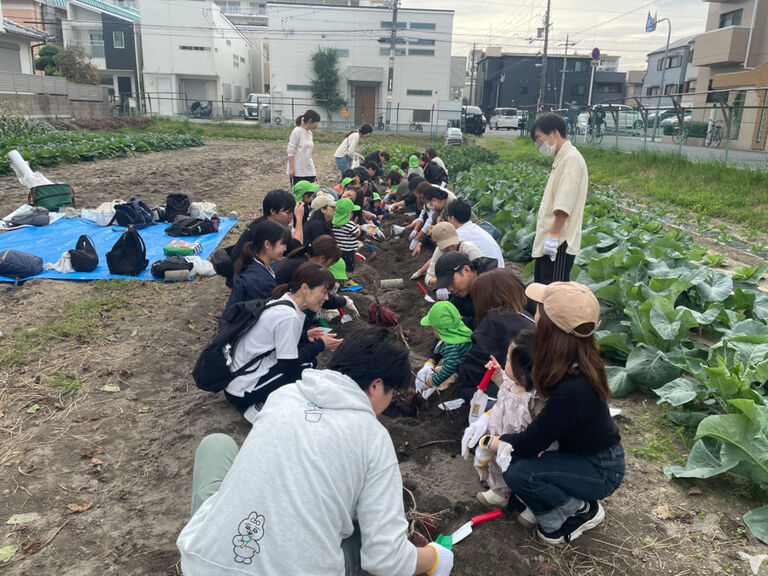 秋のお芋ほり会の様子