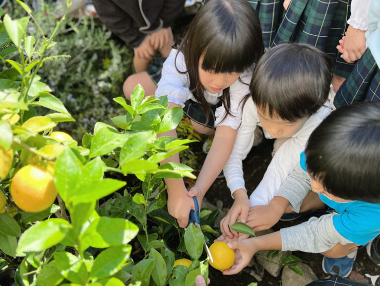 志のぶ幼稚園の幼稚園教諭求人の画像（5枚目）