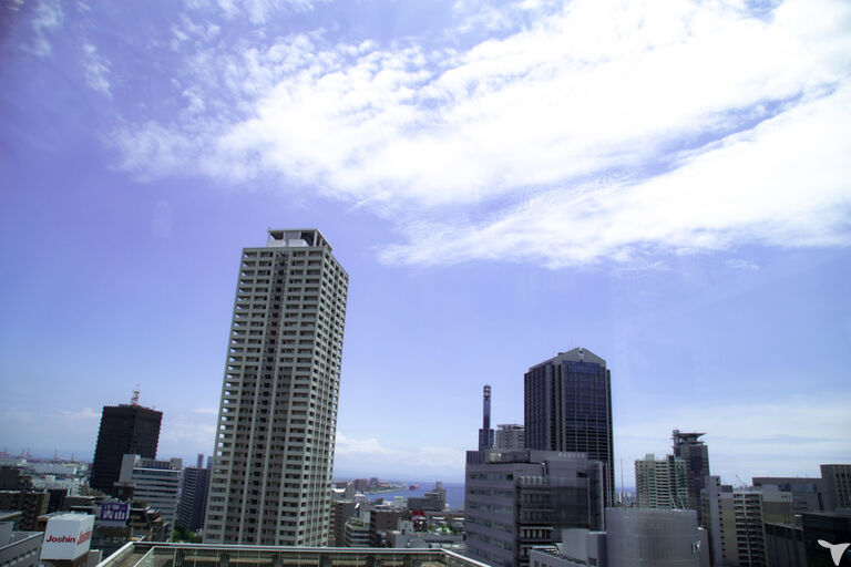 診察室からの眺め