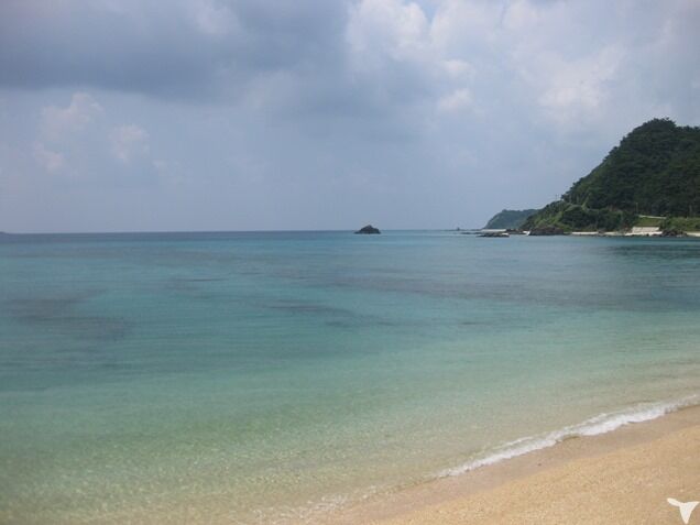 奄美の海