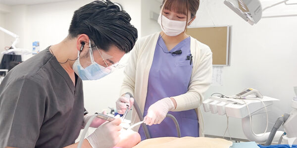  充実した教育制度あり